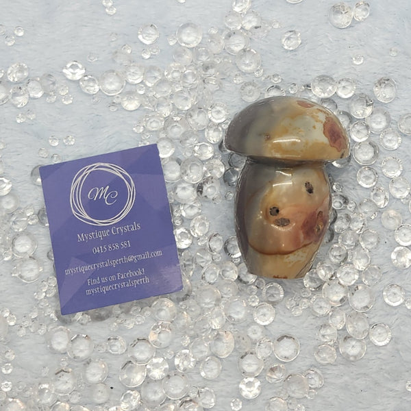 Ocean Jasper Mushrooms