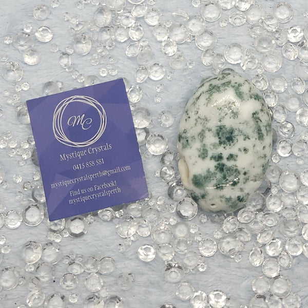 Moss Agate Palm Stones