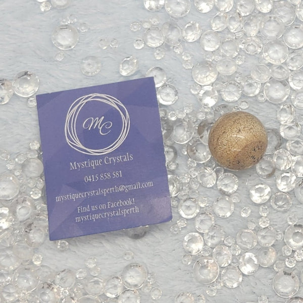 Petrified Wood Spheres