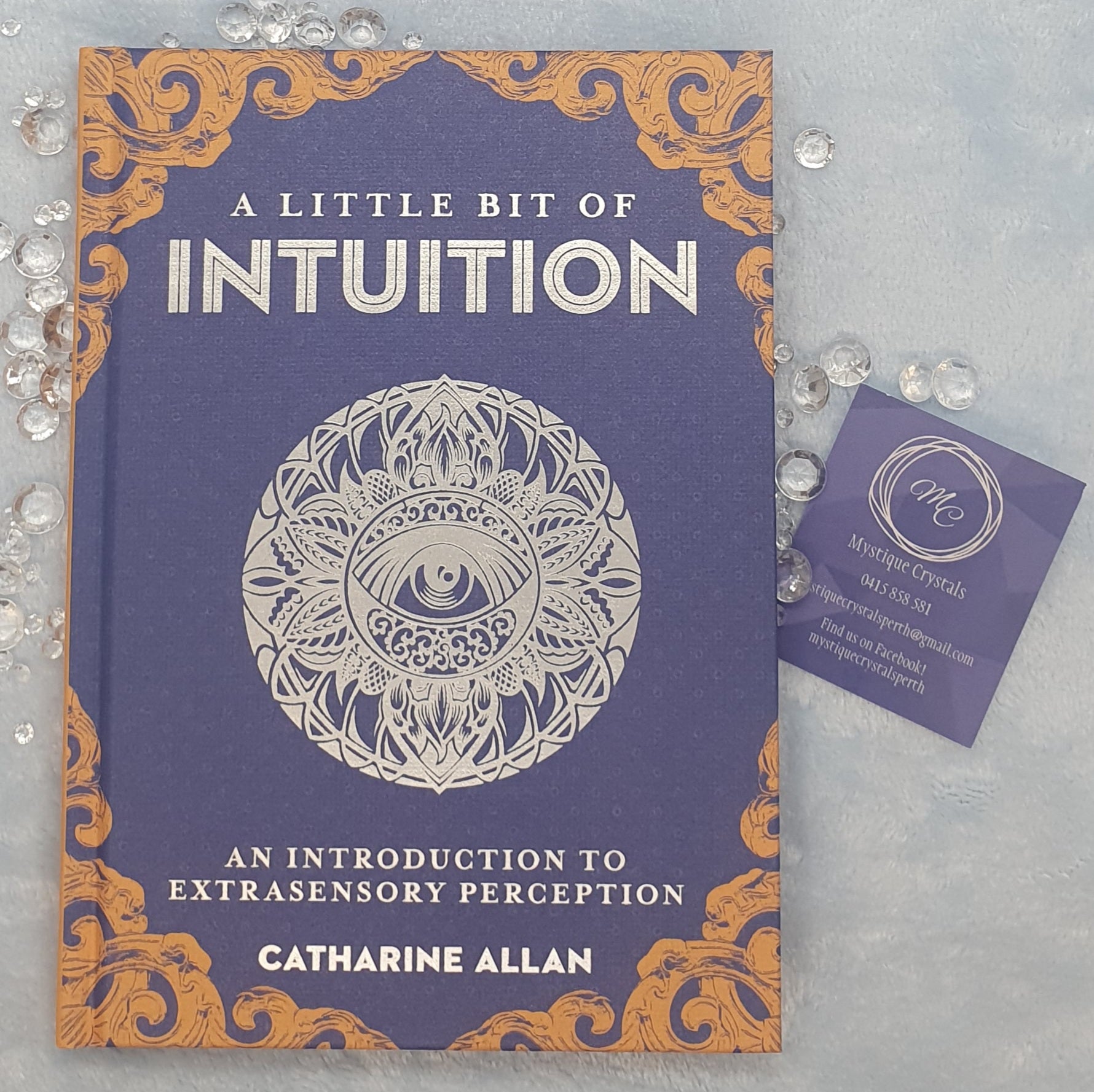 A Little Bit of Intuition by Catharine Allan